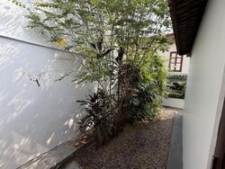 Bukit Pasoh Conservation Area (D2), Shop House #624603471